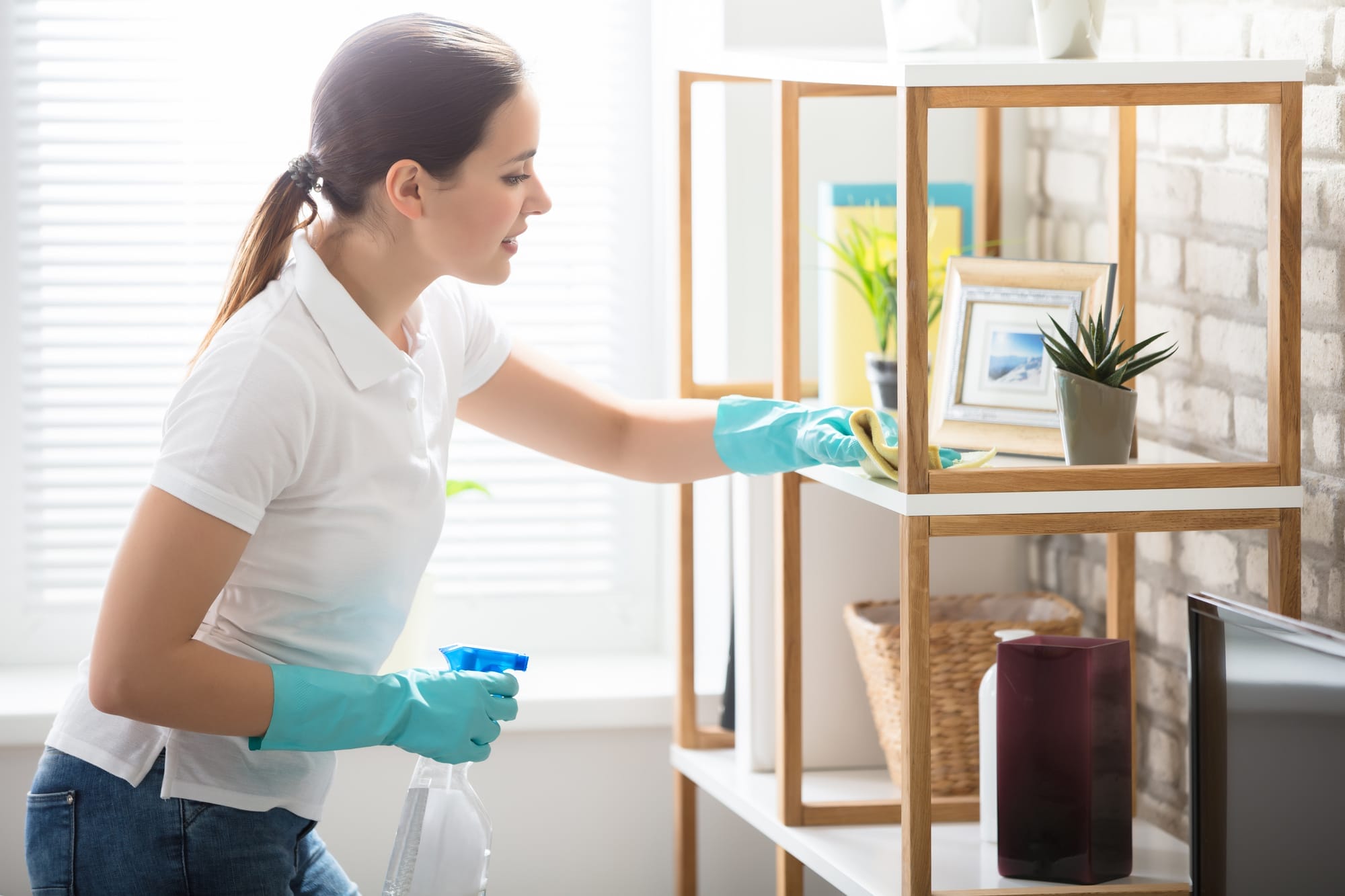 Green House Cleaning | Libman Home Cleaning