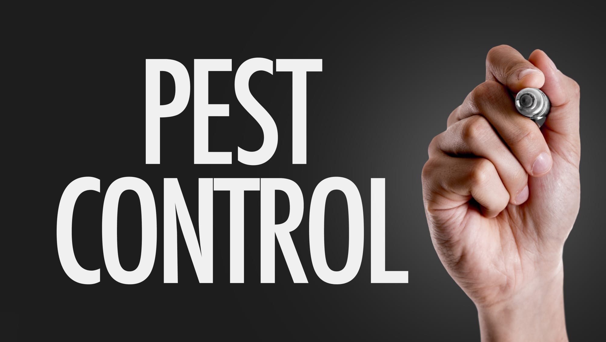 pest control tips