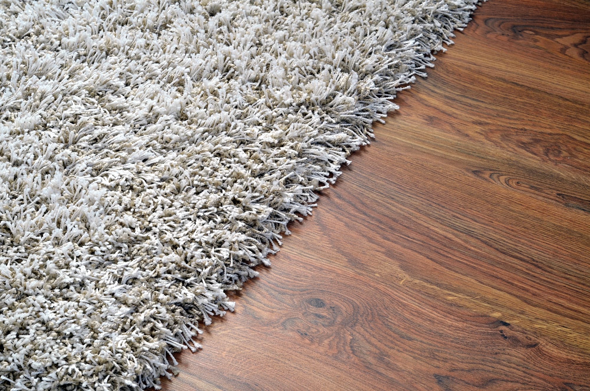 professional steam cleaning services