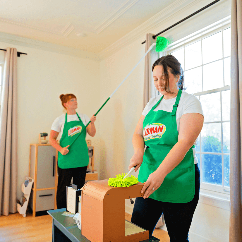 One-time or Seasonal Deep Cleaning | West Allis, WI